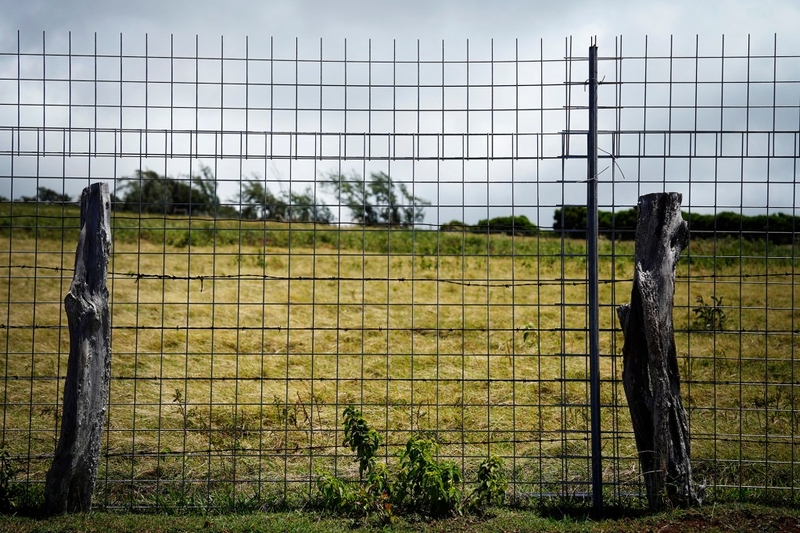 A deer fence on Kainalu Ranch is photographed Wednesday, May 27, 2026, in Kaunakakai. (Kevin Fujii/Civil Beat/2026)