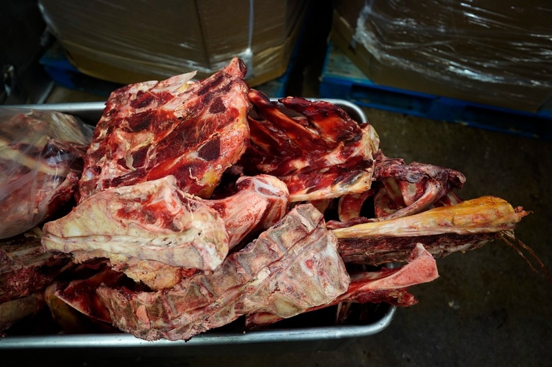 Parts of unmarketable cow at the Molokaʻi Livestock Co-op’s slaughter house Wednesday, May 27, 2026, in Kaunakakai. (Kevin Fujii/Civil Beat/2026)