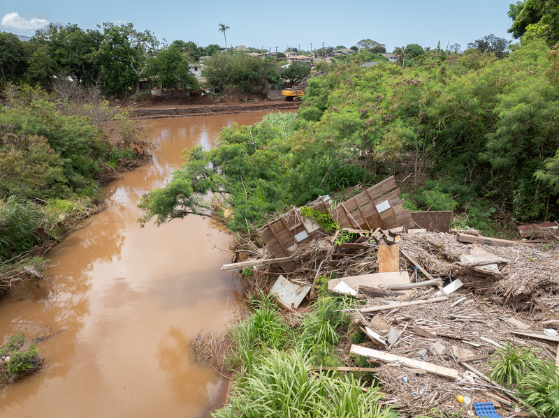 in Waialua June 1, 2026. (Craig Fujii/Civil Beat/2026)