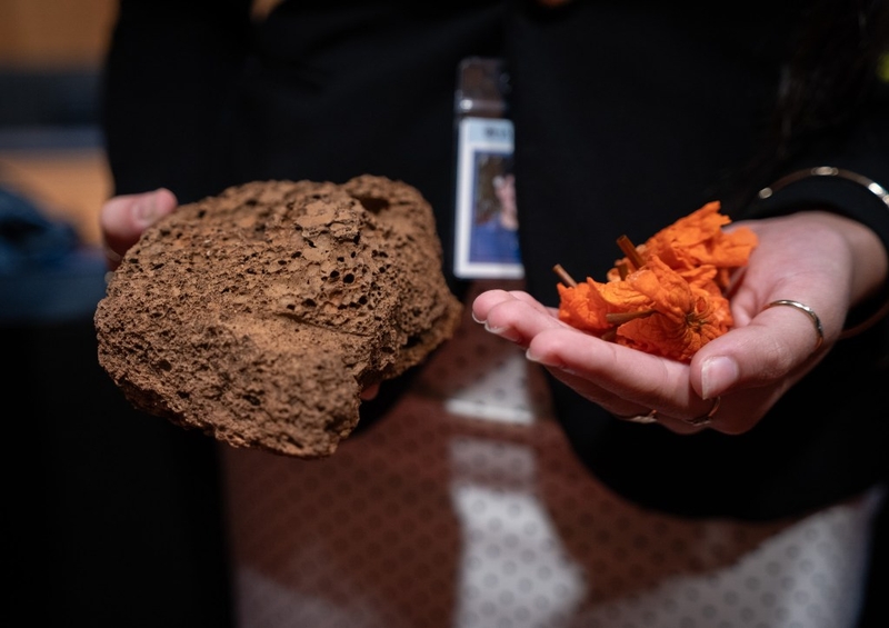 A delegate to 'Aha 'Ōpio holds a stone and ho'okupu gift of flowers for the opening ceremony of the student legislature at the Capitol June 22, 2026. The stone was used to make a kuahu which was created as a literal touchstone for the duration of the week-long gathering. (Craig Fujii/Civil Beat/2026)