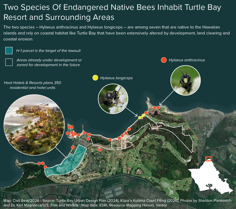 Map of the Turtle Bay development area and the surrounding areas that are the habitat of endangered native bees.