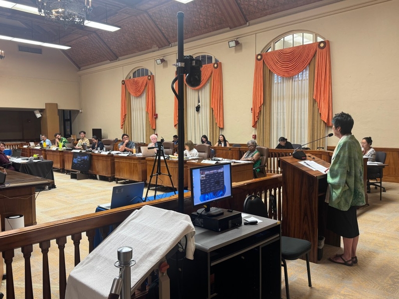 Empty Homes Tax: Oʻahu Voters​​ Blocked From Weighing In