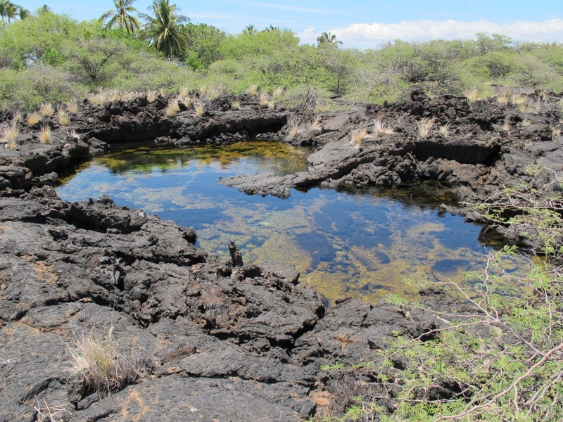 A pool of water in a lava field.