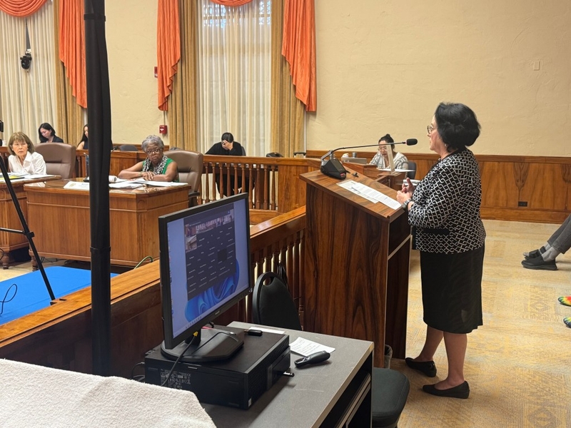 Empty Homes Tax: Oʻahu Voters​​ Blocked From Weighing In