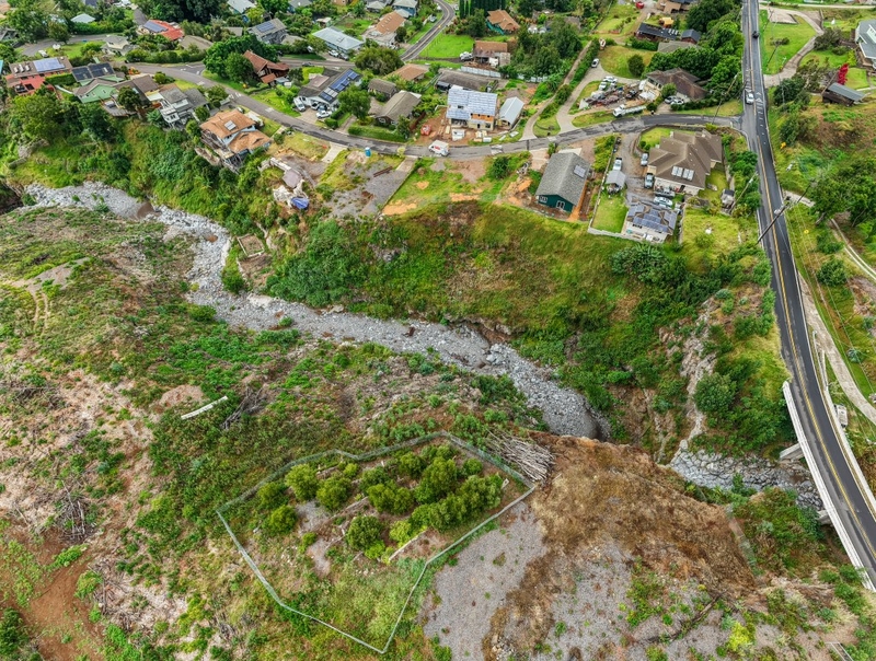 The same view a year later shows less vegetation, but multiple empty lots remain. (Sean Hower/Civil Beat/2026)