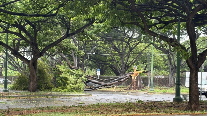 Lala’s Wrath: Homes Swept Away, Some Power Outages May Last Months