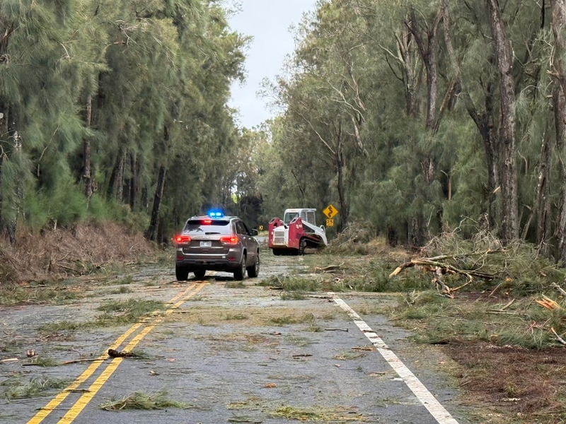 Hawaiʻi Ranchers Welcome Rain But Endure Weather Whiplash