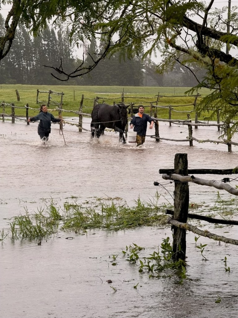 Hawaiʻi Ranchers Welcome Rain But Endure Weather Whiplash