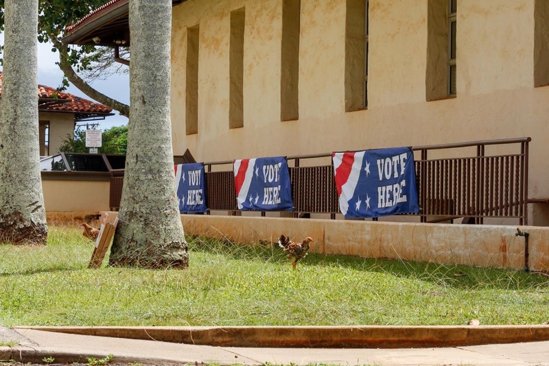 At 10 a.m. Saturday, the Lihu‘e voting station was fairly quiet. By 11 a.m. there was a steady stream of folks coming through, yet no waiting in line thanks to helpful staff. (Seth Womble/Civil Beat/2026)