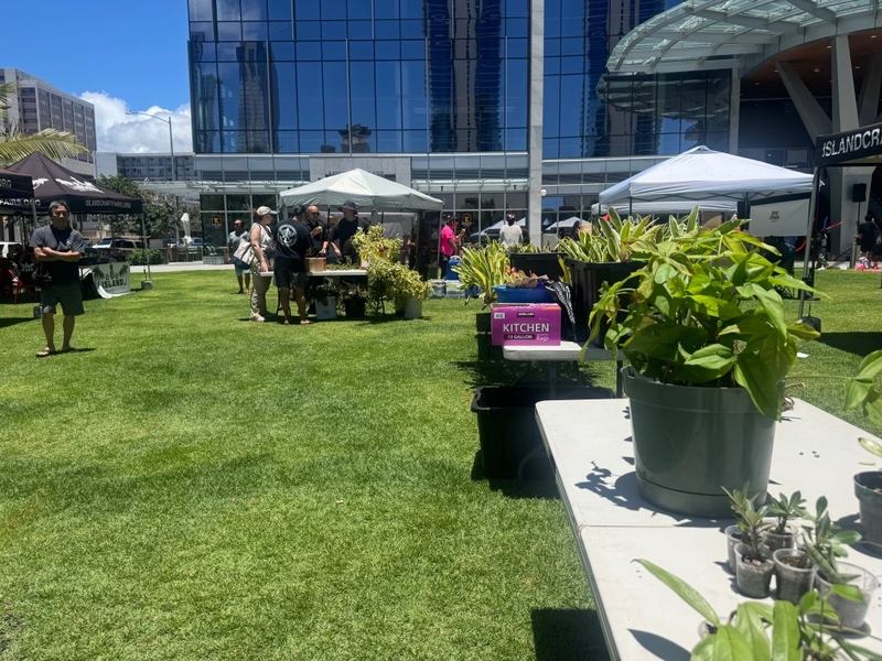 Developers Want City’s OK To Build Big. Here’s How They Sweeten The Deal