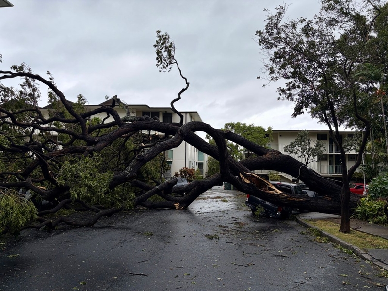 ‘Utter Devastation’: Lala Turns Hawaiʻi Upside Down, Spares Some