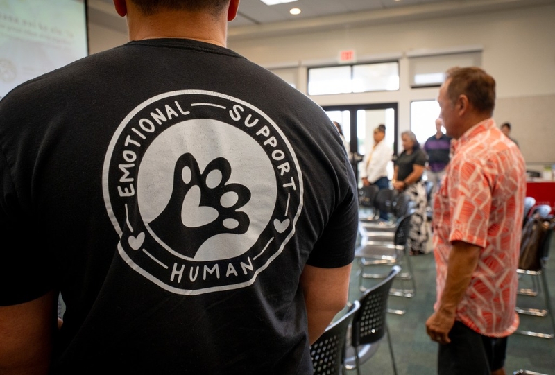 A man wears an "emotional support human" t-shirt during Recovery Ho'olaule'a at Windward Community College Sept. 4, 2026. (Craig Fujii/Civil Beat/2026)