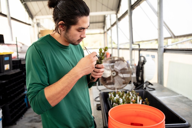A man pulls weeds from a tiny plant pot with a tool that looks like tweezers.