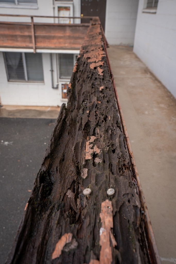 Worn railings are being replaced at the Hawaiʻian Holiday apartments on Wilder Avenue, Sept 2, 2026, which have a new owner. Its residents have been paying below market rents without substantial investment in the building's maintenance until now. (Craig Fujii/Civil Beat/2026)