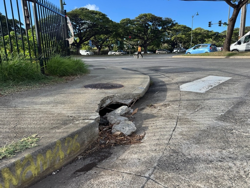 a sidewalk crumbles as a man walks dogs in the background