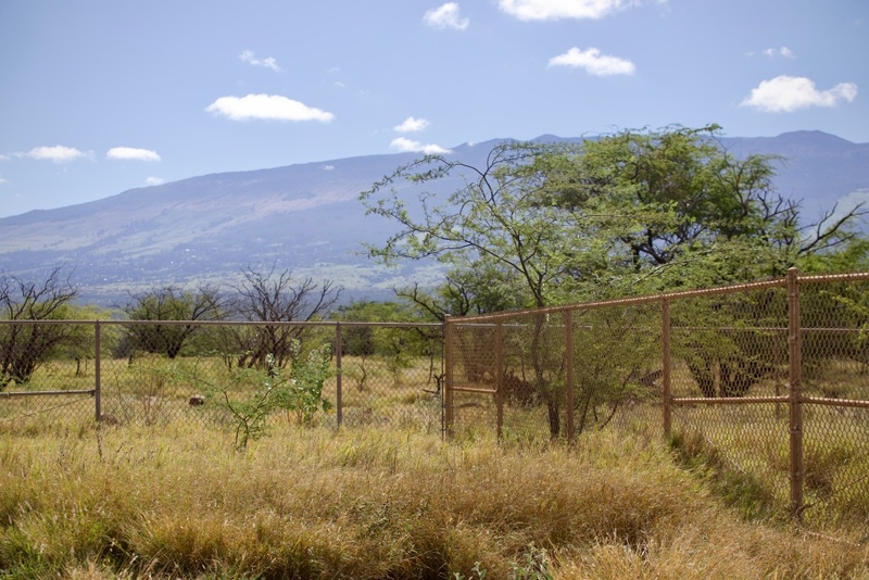 South Maui Growth Plan: More Delays Expected