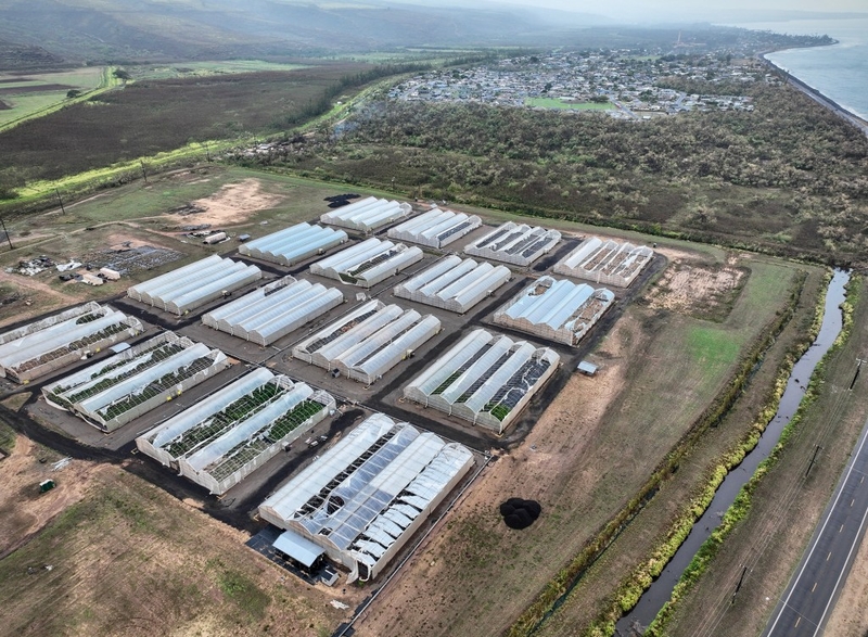 Lowell: Niʻihau News Emerges As Gov Likens Kauaʻi Hit To ʻIniki