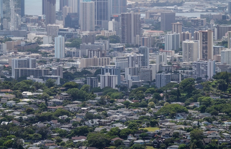 Oʻahu’s Shade Trees Could Take Decades To Grow Back After Storms