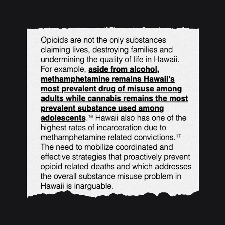 Clipping from The Hawai‘i Opioid Initiative Statewide Response with the text "aside from alcohol, methamphetamine remains Hawaiʻi's most prevalent drug of misuse among adults" emphasized and underlined.
