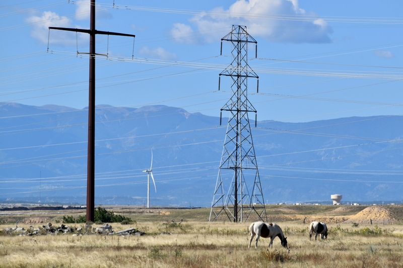 Pueblo is a clean energy leader. But you might have to look close to see it.