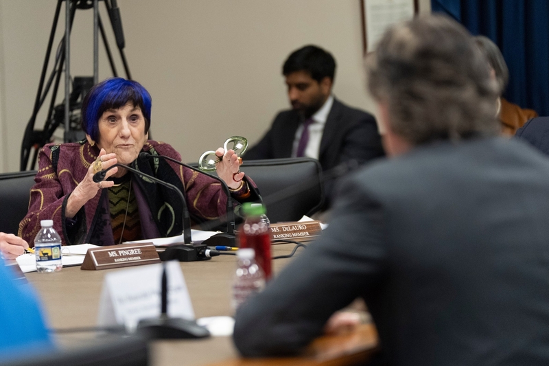 Panel nixes challenge to DeLauro’s convention win