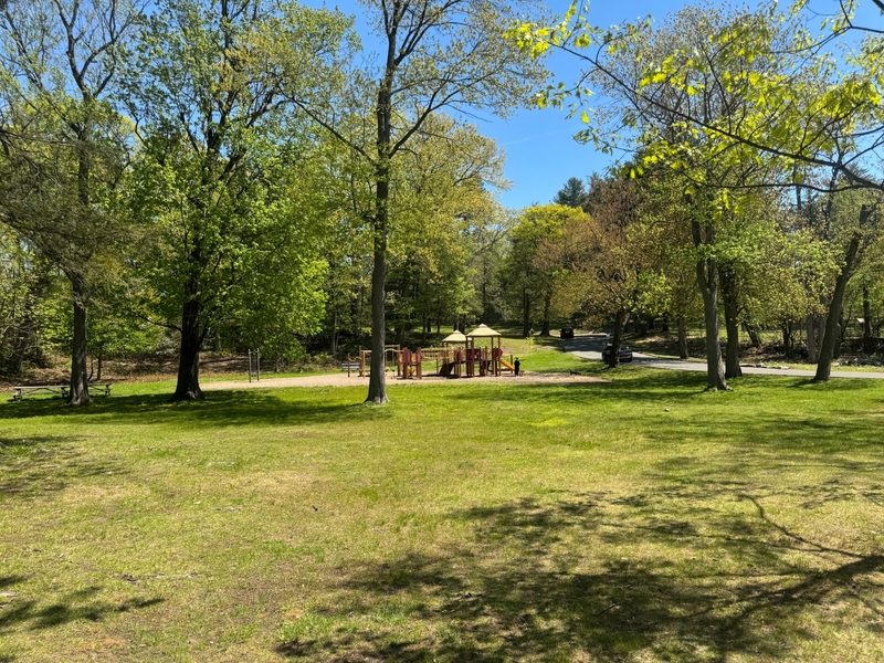 Report finds unequal access to space, resources at city parks in Bridgeport