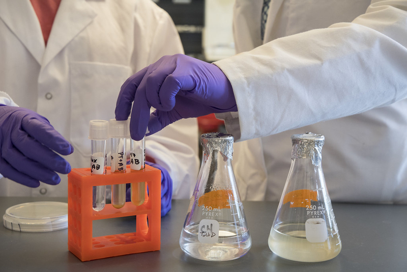 On-, off-, on-again URI program for diverse STEM scholars braces for October uncertainty