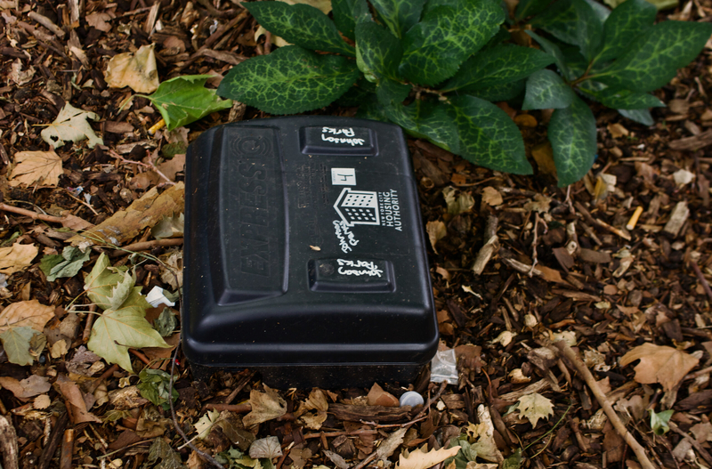 Rodenticides kill more than rodents. Providence lawmaker sponsors bill to ban their use.