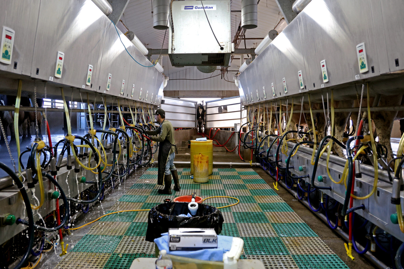 A worker cleans the dairy parlor before cows come in to be milked at Donley Farms