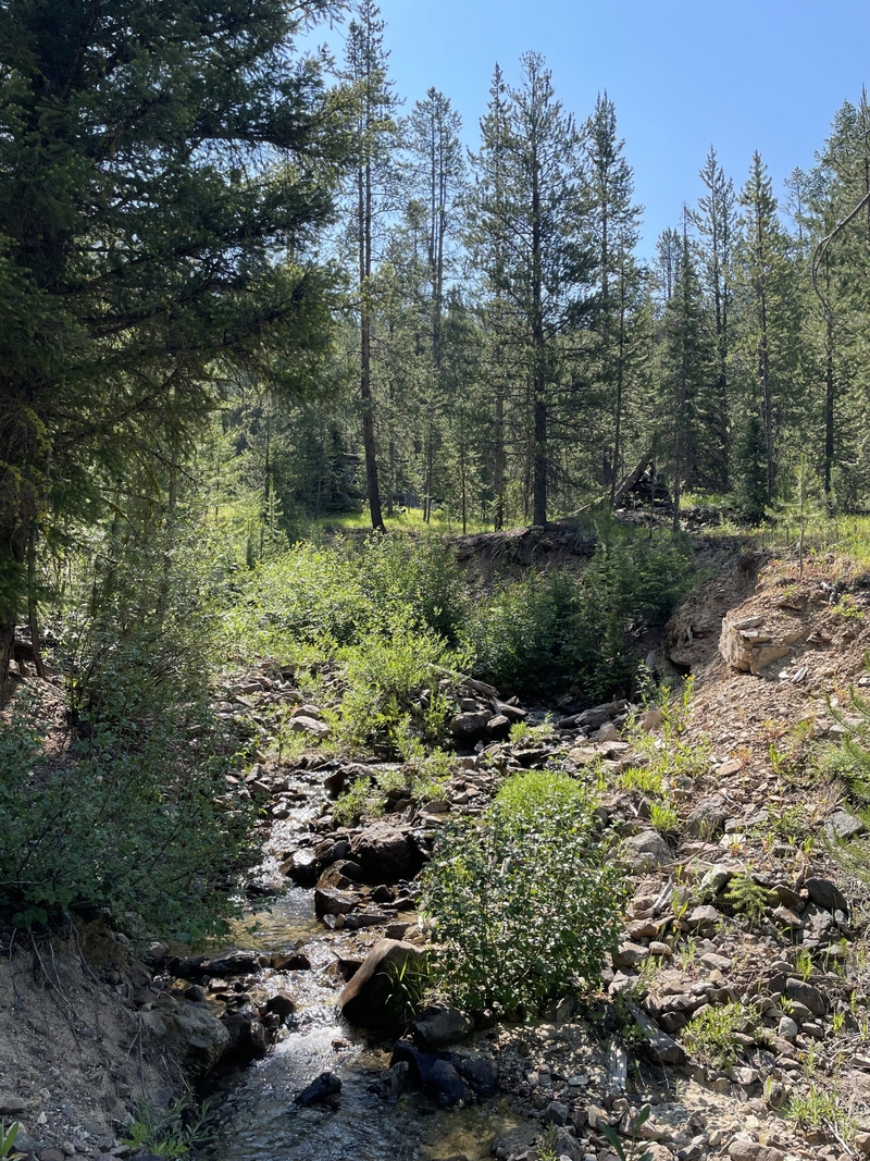 Frank Church Wilderness addition Idaho