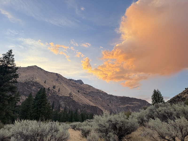 A bench above Pool Camp on the Middle Fork Salmon River