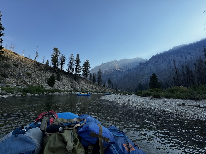 Looking downstream toward Gardell's Hole, Middle Fork Salmon River