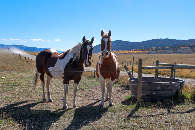 Stream, riparian restoration could protect Idaho’s Kackley Ranch Preserve for generations to come