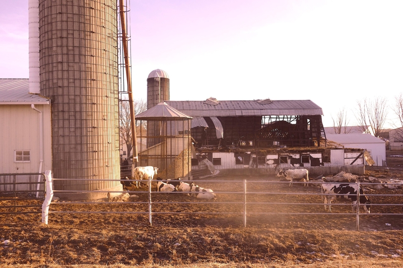 Barn fire at Amish farm brings community together