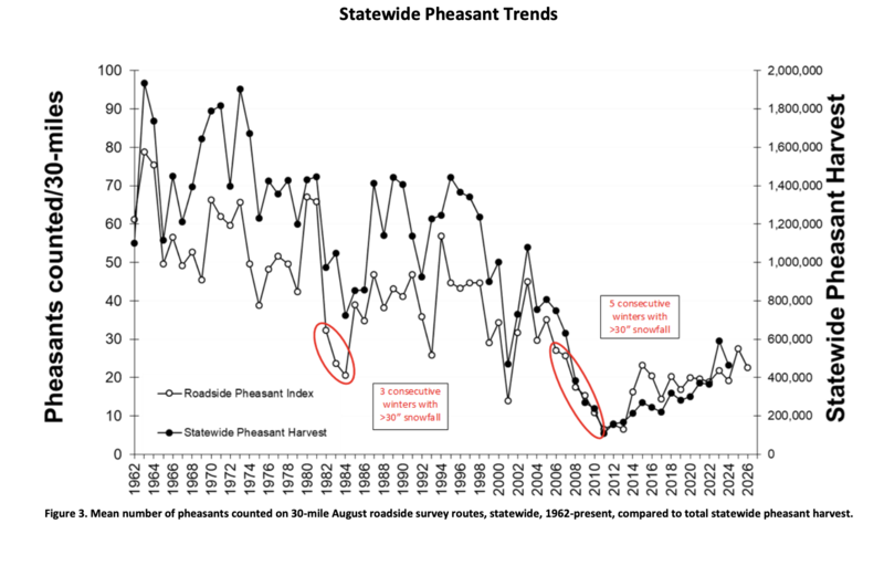 Decades of August roadside surveys in Iowa show wildlife and habitat changes