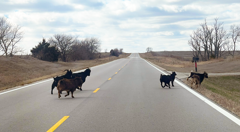 Ruined beauty of Kansas: Ghost towns and buildings splinter under weight of time
