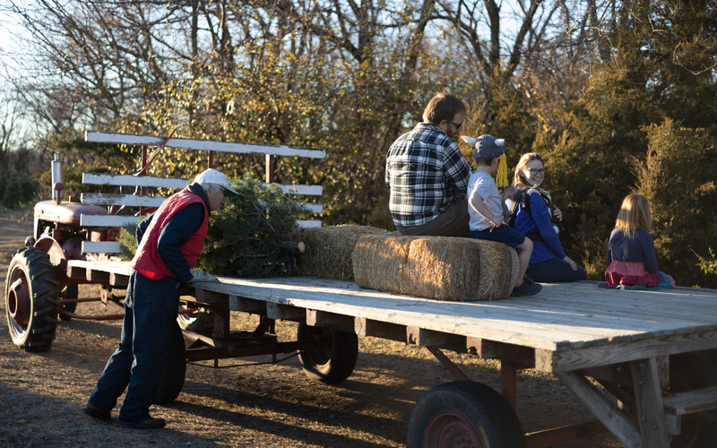 Glen Goering, owner of Pine Lake Christmas Tree Farm in Derby, makes sure the Kimmel family is ready to head back to their vehicle after selecting a tree.