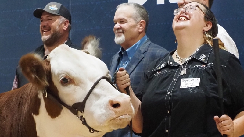 Kansas legislators compete in cattle showmanship, learn about beef industry at state fair