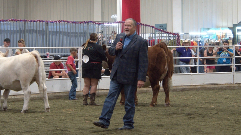 Monte Ball, a third-generation rancher, judges the Legislative Showmanship competition at the Kansas State Fair on Sept. 12, 2026.