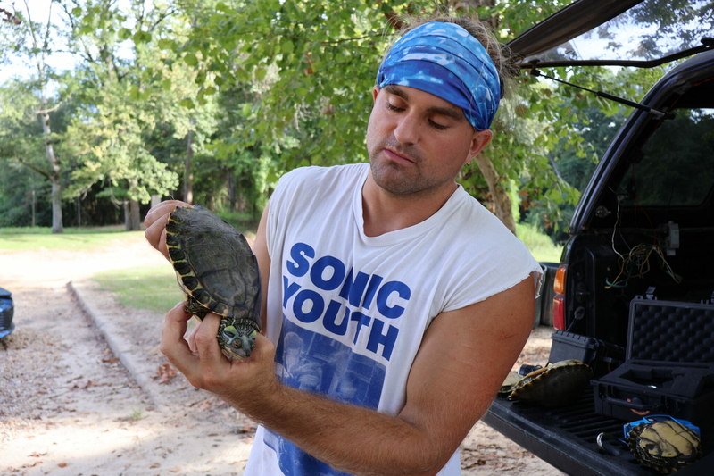 Noah Devros, a graduate student and researcher at the University of Southern Mississippi, holds a female Pearl River map turtle as he collects data and tags the turtles for further research in September 2024.