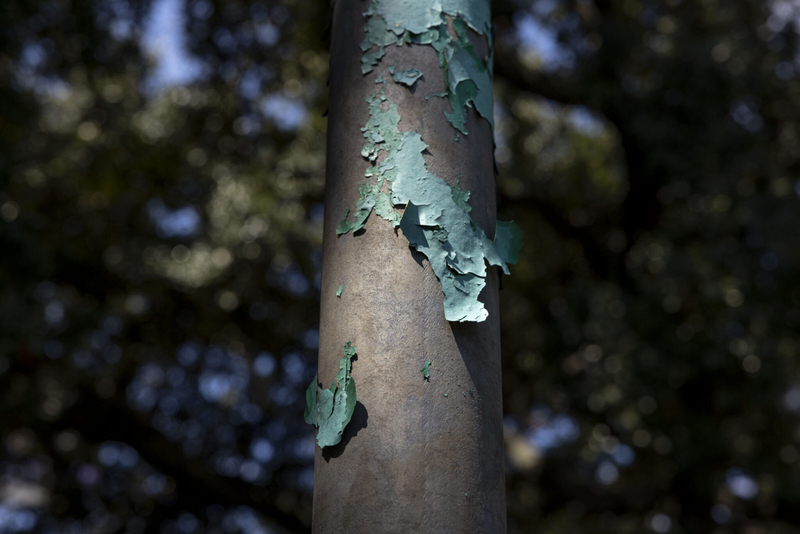 Lead paint peels off a pole at Hunter’s Field Playground in New Orleans