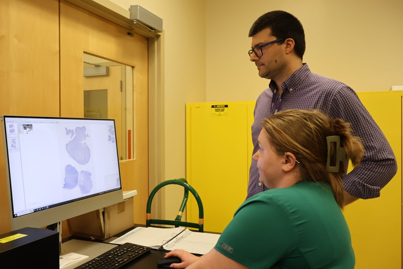 Carrossino and Glascock examine a sample being tested for chronic wasting disease. Pink dots on the monitor indicate the presence of the disease. (Elise Plunk/Louisiana Illuminator)