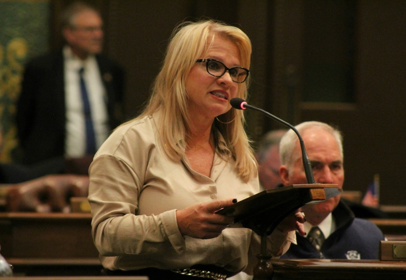 Michigan House approves changes to clean energy siting, renewable ...