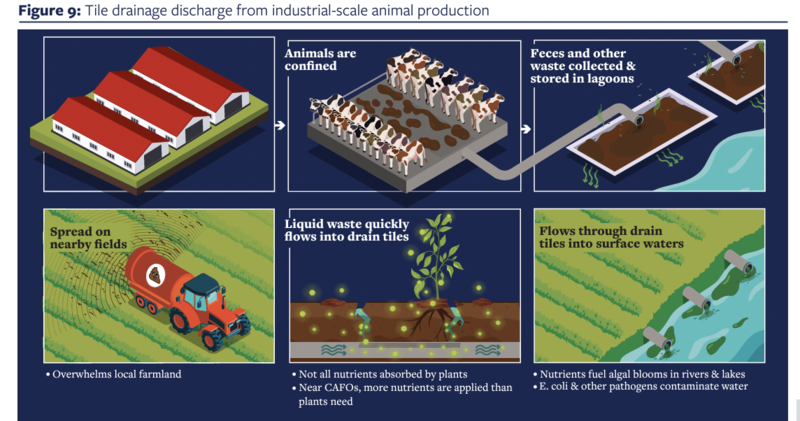 Michigan Supreme Court revives appeal of ‘factory farm’ discharge permit in light of Line 5 ruling