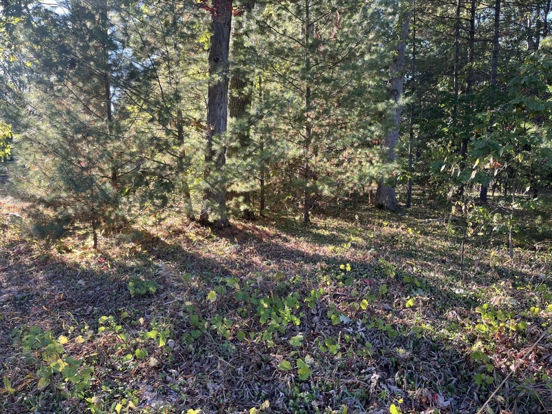 DNR urges caution with outdoor fires amid autumn drought in Michigan