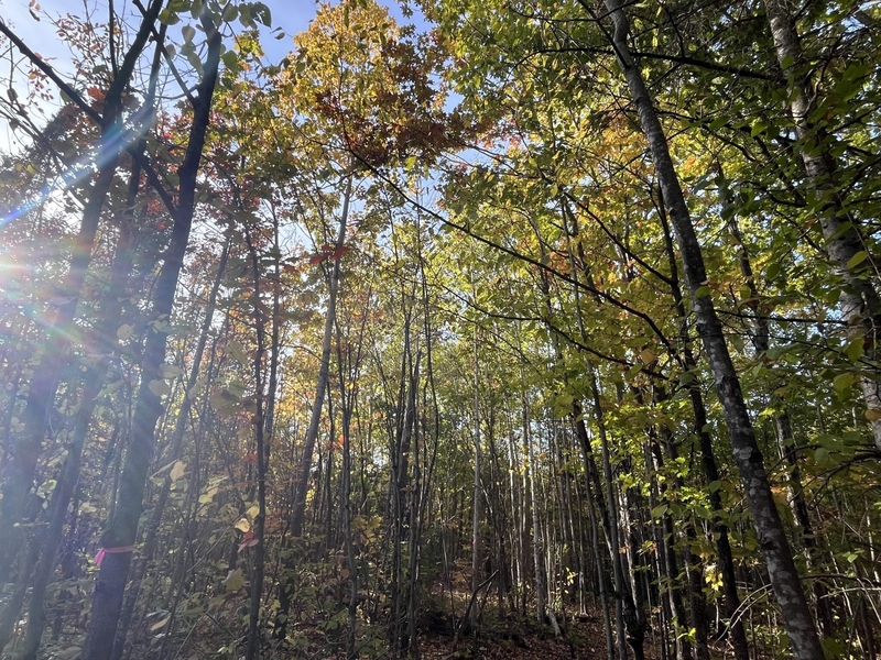 DNR urges caution with outdoor fires amid autumn drought in Michigan