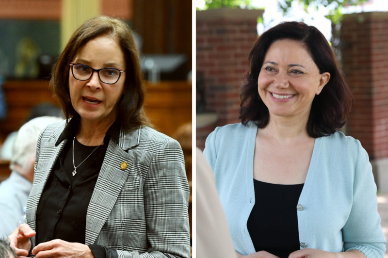 Here are the top 15 Michigan House district races to watch