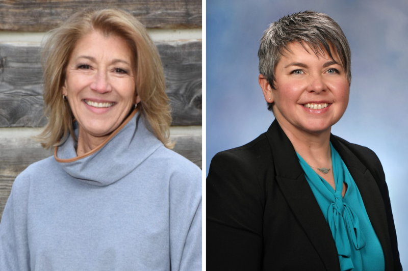 Here are the top 15 Michigan House district races to watch