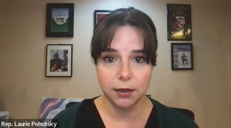 Michigan lawmakers decry federal deployments in California, urge non-violent ‘No Kings’ protest