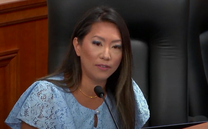 GOP election conspiracist given platform in House committee to rail against Michigan Democrats
